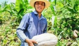 靠吃瓜卖钱,揭秘靠吃瓜卖钱的独特商机