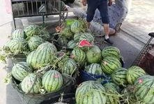 凌源近期吃瓜事件,揭秘背后真相与网络舆论风暴