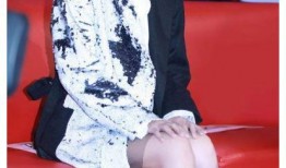 超级女声2006吃瓜,吃瓜群众见证的青春盛宴