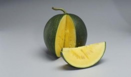 上海陈学姐吃瓜,揭秘网络舆论背后的真相