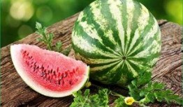 小产可以吃绍瓜吗,绍瓜是否适宜小产后食用