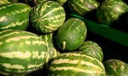 信誉楼吃瓜事件,一场网络舆论的风波与反思