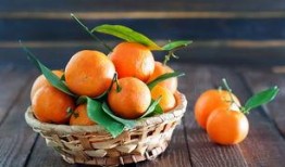 梦见吃绿色小蓝瓜,揭秘绿色小蓝瓜的神秘寓意