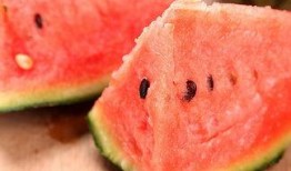 吃瓜科普西瓜,吃瓜群众的科普之旅