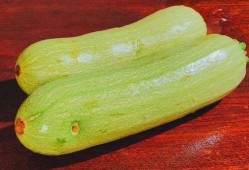 马上停止吃的瓜,即刻告别喧嚣瓜界