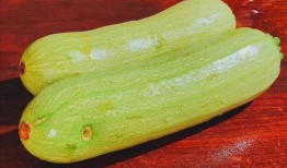 马上停止吃的瓜,即刻告别喧嚣瓜界