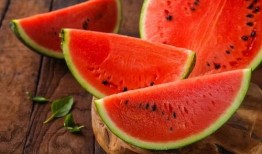 利兹pdf吃瓜vita,揭秘虚拟现实世界的奇妙之旅