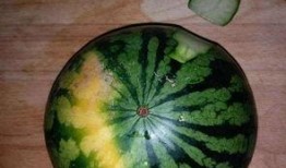 吃瓜怎么切片好看,揭秘吃瓜切片的绝美技巧