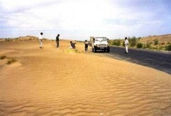 吃瓜最新事件伊犁,揭秘新疆伊犁瓜农的甜蜜困境