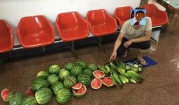 偷钻吃瓜,揭秘吃瓜群众的狂欢盛宴