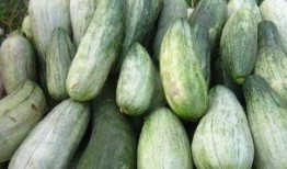 酥瓜怎么吃最好,这样吃最过瘾！