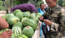 金昌什么最近吃瓜,揭秘本地热点事件背后的真相