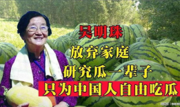 《嘲笑吃瓜》在线观看,揭秘网络恶搞背后的心理与社会现象