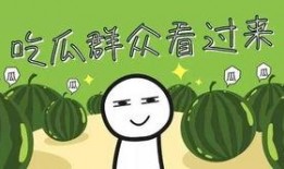 今年吃瓜哪家强