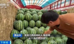 大凉山吃瓜,探寻瓜乡的独特魅力