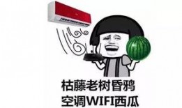 吃瓜群众自己成了瓜