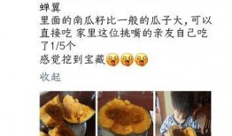 吃瓜群众秀全集,揭秘娱乐圈幕后故事