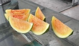 农村自制吃瓜辅助器,创意无限，夏日解暑新选择