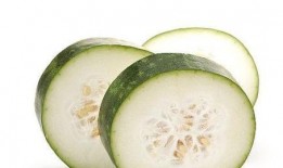 瓜忍和水吃,探寻美食与文化的交融之旅