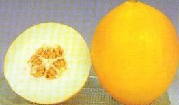 小产可以吃绍瓜吗,绍瓜是否适宜小产后食用