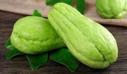 吃佛手瓜脸肿吗,佛手瓜食用后脸部肿胀现象解析