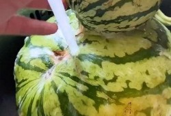 高手搞笑吃瓜视频,带你领略欢乐无限