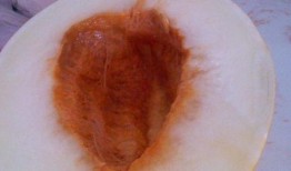 胃酸可以吃伊丽莎白瓜吗,胃酸过多人群的伊丽莎白瓜食用指南