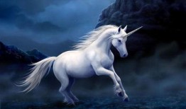 独角兽吃瓜群是什么意思,社交新现象背后的网络文化解析