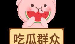 吃瓜群众图唯美,唯美“吃瓜群众”图鉴