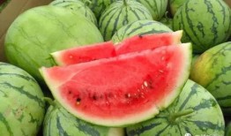 网上吃瓜的群都在哪