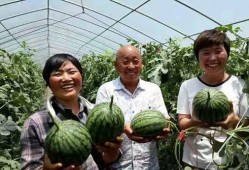 吃瓜驿城区,探寻美食与文化的交汇之地