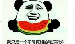 吃瓜群众秀全集,揭秘娱乐圈幕后故事