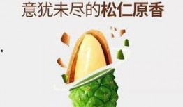 嗑瓜的吃瓜,揭秘吃瓜背后的趣味与真相