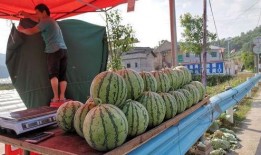 新乐美校吃瓜事件,揭秘校园风波背后的真相