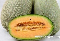 周公解梦摘蒲瓜吃,摘蒲瓜食的吉凶预兆解析