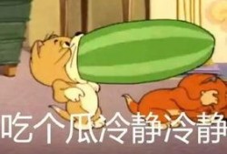 早上吃土瓜好吗,开启健康活力一天的秘密