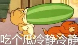 早上吃土瓜好吗,开启健康活力一天的秘密