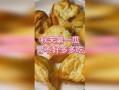 秋瓜胃不好可以吃,秋季养胃饮食指南