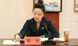 吃瓜网戴局长,戴局长背后的故事与真相
