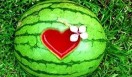 解梦原版分瓜吃,分瓜吃背后的寓意与启示