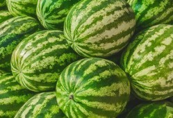 福星路吃瓜,一场热闹非凡的吃瓜盛宴