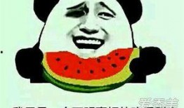 吃瓜得瓜什么意思,揭秘“吃瓜得瓜”背后的趣味与智慧