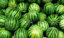 瓜哥吃瓜过生日