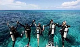 专业潜水吃瓜号,揭秘专业潜水员背后的神秘世界