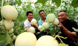 吃瓜驿城区,探寻美食与文化的交汇之地