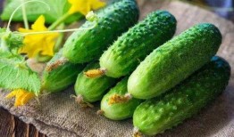 色花吃瓜,揭秘娱乐圈的甜蜜与苦涩