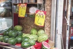 吃瓜专卖店,品味夏日清凉，畅享瓜果盛宴