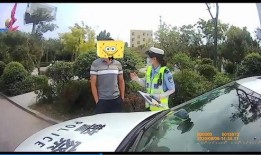 吃瓜群众看车队