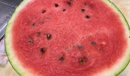 西瓜视频吃瓜图片,揭秘西瓜视频吃瓜图背后的故事