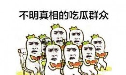 吃瓜群众改编,吃瓜群众视角下的娱乐圈风云录